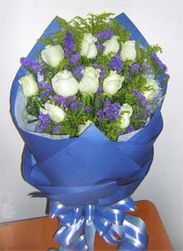 One dozen white roses 