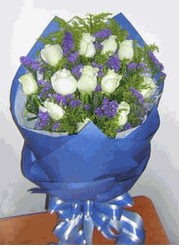 One dozen white roses 