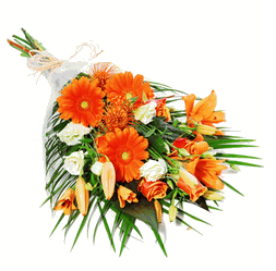 Orange gift wrap