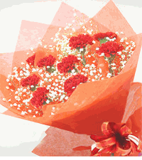 Orange Rose