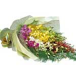 Orchid Arrangement