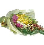 Orchid Arrangement