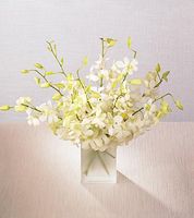 Orchid Bouquet