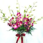 Orchid Bouquet 