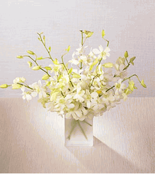 Orchid Bouquet