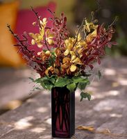 Orchid Splendor
