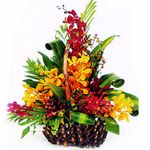 Orchids basket