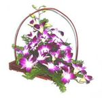Orchids Basket
