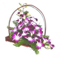 Orchids Basket