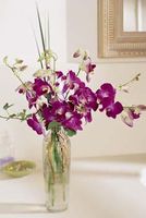 Pacific Paradise Arrangement