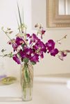 Pacific Paradise Arrangement