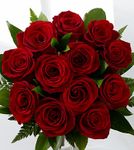 Passion for Romance Rose Bouquet 