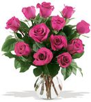 Passionate Pink