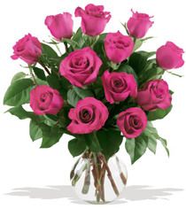 Passionate Pink