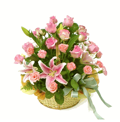 Passionate Pink Rose