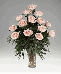 Peach Pink Roses