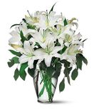 Perfect White Lilies