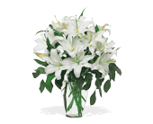 Perfect White Lilies
