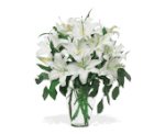 Perfect White Lilies
