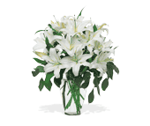 Perfect White Lilies