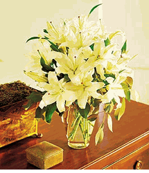 Perfect White Lilies