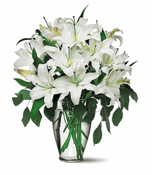 Perfect White Lilies