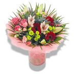 Pink and Red Classic