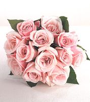 Pink - Bouquet of 12 Roses 