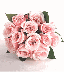 Pink - Bouquet of 12 Roses 