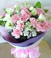 Pink flowers