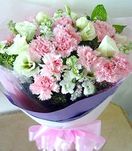Pink flowers
