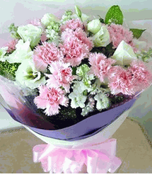 Pink flowers