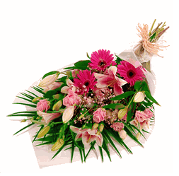 pink_gift_wrap
