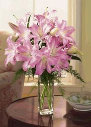 Pink Lilies