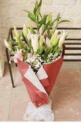 Pink lilies