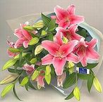 Pink Lily Bouquet