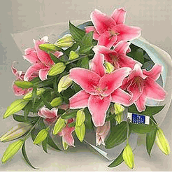 Pink Lily Bouquet
