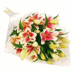 Pink_lily_gift_wrap