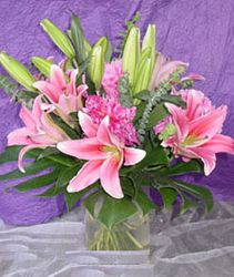 Pink Lily In Vase