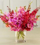Pink Orchids