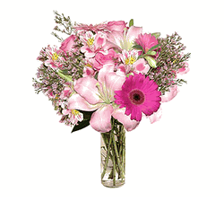 Pink Petals
