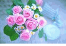 Pink rose 12 stems