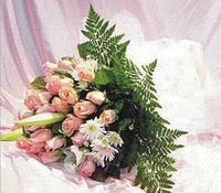 Pink rose