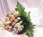 Pink rose