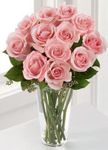 Pink Rose Bouquet 