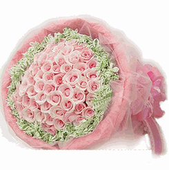  Pink rose bouquet 