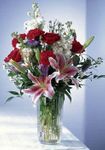 Pink Stargazer lilies