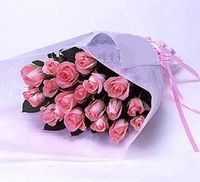 Pink Surprise 