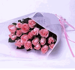 Pink Surprise 