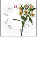pisces: February 20 - march 20